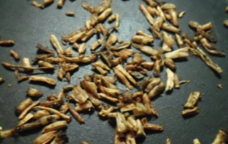 1. Этап. Кофе из корней одуванчика: Мелко нарезаем корешки. Обжариваем их на сухой сковороде. Огонь при этом должен быть минимальный.