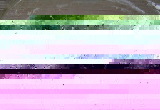 1. Этап. Открытый пирог с вишней: Замесите эластичное тесто, накройте и дайте отдохнуть 20-30 минут.