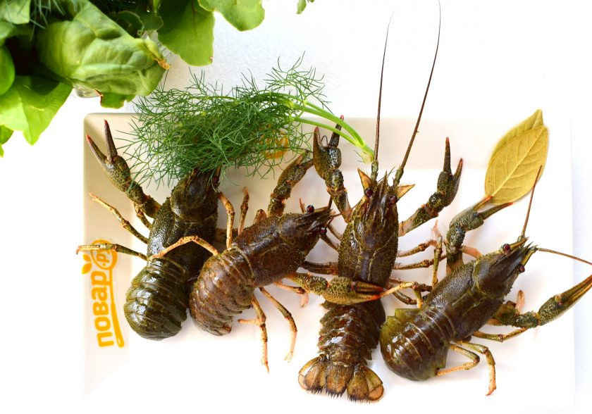 1. Этап. Ботвинья по старорусскому рецепту: Подготовьте раков. Заранее оставьте их в холодной воде на несколько часов, чтобы промылись остатки ила. Затем промойте под проточной, протрите щеточкой.