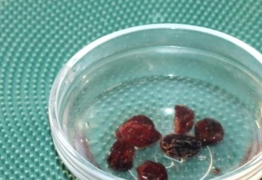 1. Этап. Булочки-птички Жаворонки: 2. Изюминки промойте и обсушите.