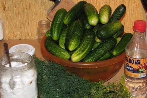 1. Этап. Маринованные огурцы сладкие: Приготовить мелкие огурчики, не более 10 см и все приправы и специи.