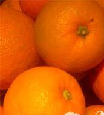 1. Этап. Коктейль Епископ: 1. Выбирайте самые спелые и сочные апельсины, обладающие наиболее яркой окраской.