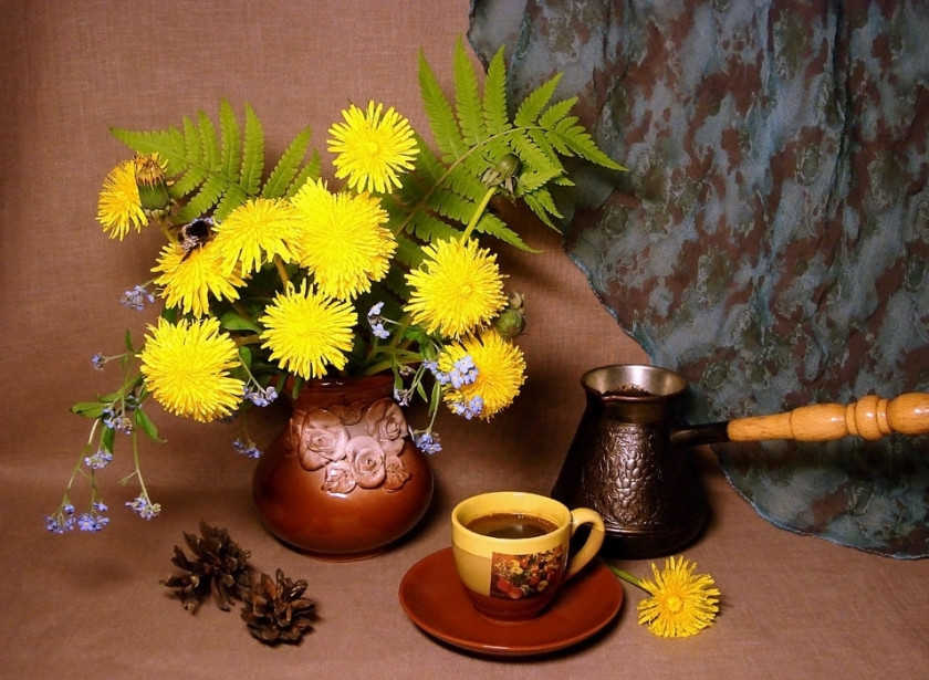 1. Этап. Кофе из корней одуванчика: Для удобства можете перемолоть корни в блендере или кофемолке. Завариваем напиток, как и обычный кофе. Наслаждайтесь!