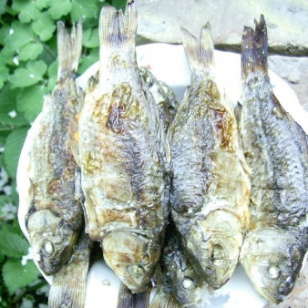 Караси на решетке