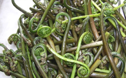 1. Этап. Заготовка папоротника на зиму: После сбора папоротника перед его засолкой должно пройти не более 4-х часов. Черешки папоротника промываем.