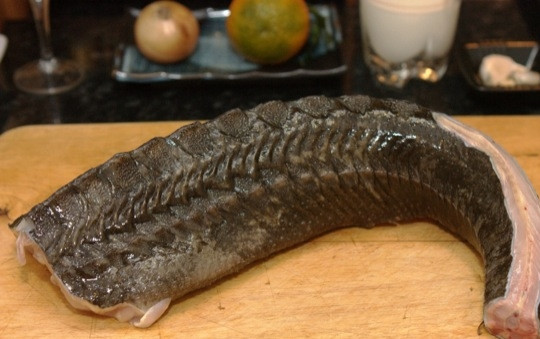 1. Этап. Жареная стерлядь: Свежую стерлядь хорошо моем под проточной водой. Очищаем от плавников, слизи,пленок и жабр. Разрезаем брюшко по всей длине и извлекаем внутренности. Снова промываем водой.