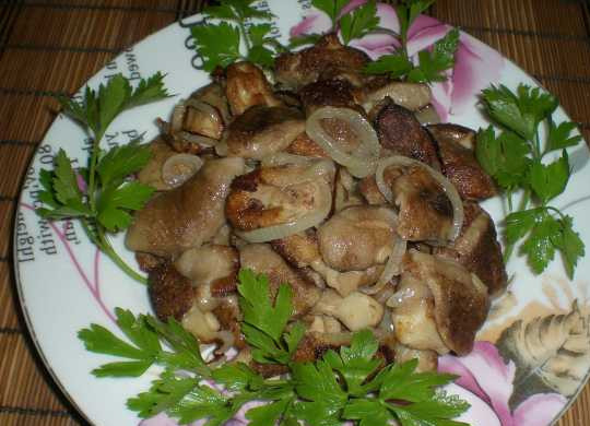 1. Этап. Маслята, жареные с луком: Украшаем блюдо петрушкой. Приятного аппетита!
