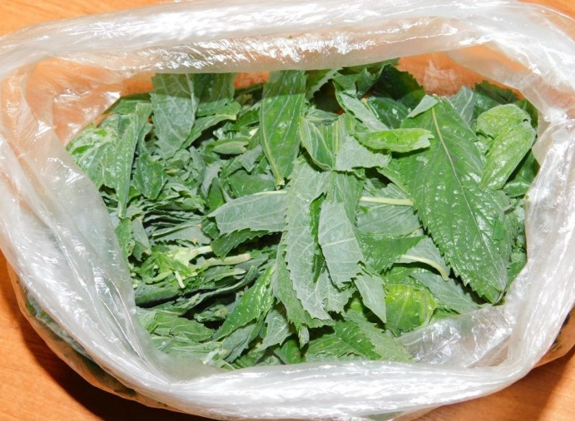 1. Этап. Бодрящий имбирный напиток с апельсинами: Добавьте листья мяты и проварите все вместе минут 10. Затем дайте отвару постоять минут 20 и процедите. Добавьте по вкусу сахар. Перемешайте и остудите.