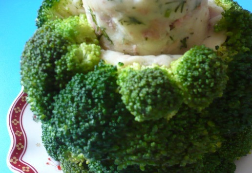 1. Этап. Елка из овощей и тунца: Затем рядами выложите брокколи в пюре до полного покрытия.