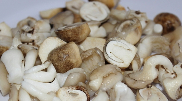 1. Этап. Вешенки с сыром: Пока лук обжаривается на сковороде, можно подготовить грибы. Вешенки вымойте и обсушите бумажным полотенцем. Если грибы крупные, то их лучше нарезать.