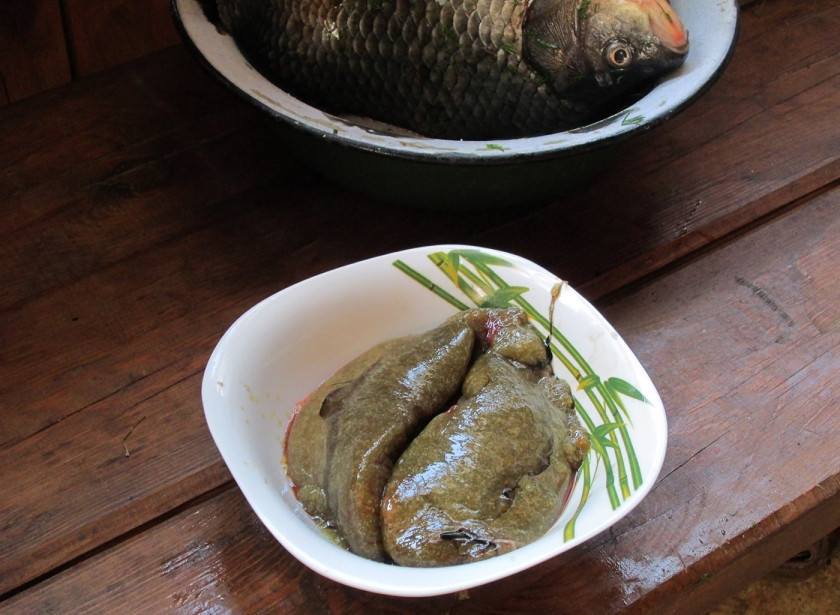 1. Этап. Икра щуки жареная: Икру щуки хорошенько промойте под проточной водой. Затем очистите ее от лишних пленочек и жилок. Делайте это аккуратно, так как продукт очень деликатный и нежный, его целостность очень легко повредить.