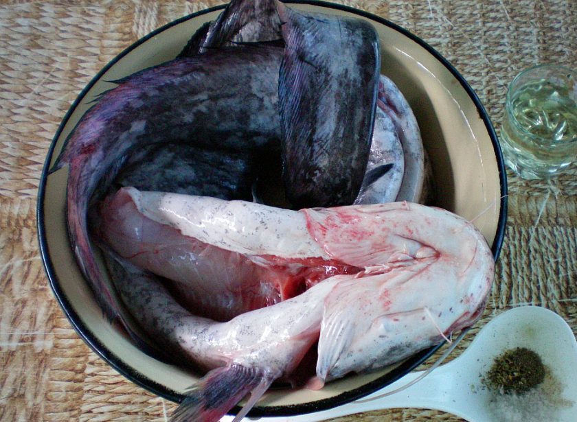 1. Этап. Рыба под белым маринадом: Морского сома потрошим и хорошо промываем холодной водой.