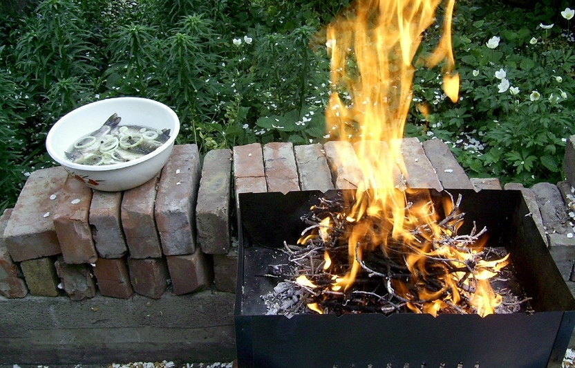 1. Этап. Караси на решетке: Разводим костер и дожидаемся углей.