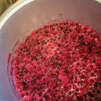 1. Этап. Варенье из ирги: Затем поставить таз на огонь и довести до кипения.