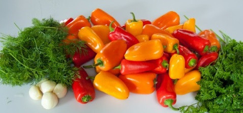 1. Этап. Маринованный перец без закатки: 1. В данном случае в рецепте маринованного перца без закатки используются разноцветные маленькие перчики, но если таких под рукой не оказалось, то смело берите обычные. С зеленью также можно экспериментировать, добавив кинзу, базилик или даже мяту, например.