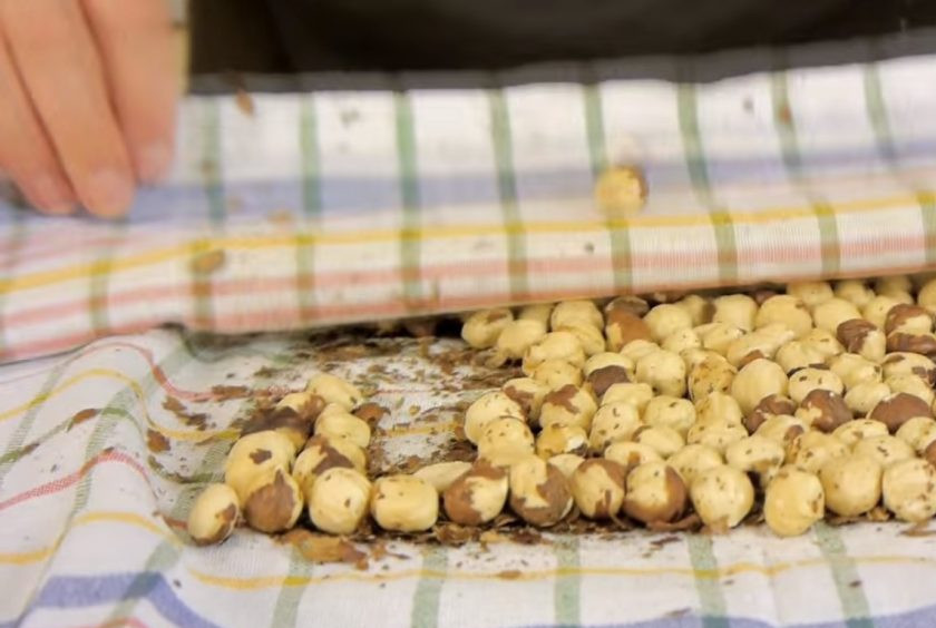 1. Этап. Панфорте: 1. Высыпьте на противень фундук равномерным слоем и отправьте в разогретую до 180 градусов духовку на 5 минут. Орехи выложите на полотенце, прикройте и снимите кожицу с орехов, слегка потерев их о полотенце.