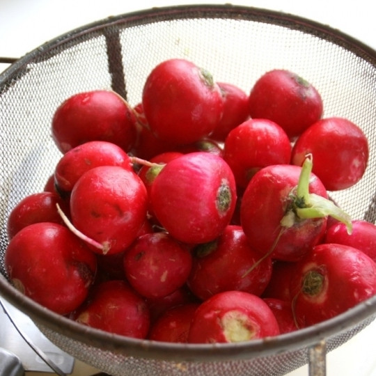 1. Этап. Запеченный редис: Духовку разогреваем до 200 градусов. Редис хорошенько промываем, даем ему обсохнуть.