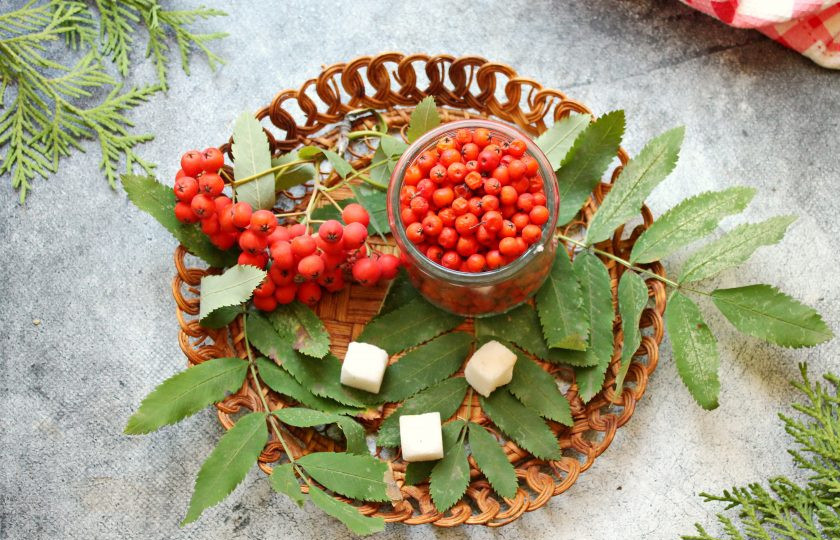 1. Этап. Компот из красной рябины на зиму: Подготовьте все необходимые ингредиенты для приготовления компота из красной рябины.