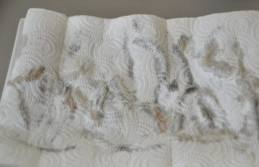 1. Этап. Мойва в масле: Хорошо промокните, чтобы убрать все излишки влаги.