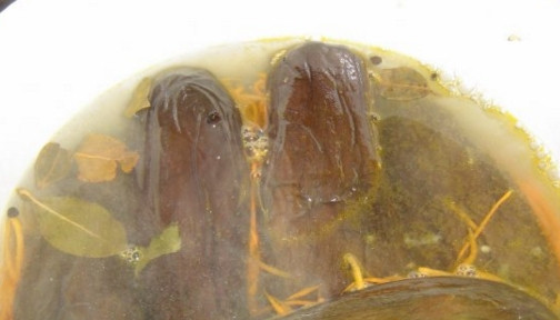 1. Этап. Квашеные баклажаны с морковкой и чесноком: Прокипятите пару минут воду с лавровым листом, перцем душистым и солью. Полученным рассолом залейте баклажаны. Придавите их небольшим грузом, вынесите в холодное место. Там они будут бродить, а также храниться в дальнейшем.