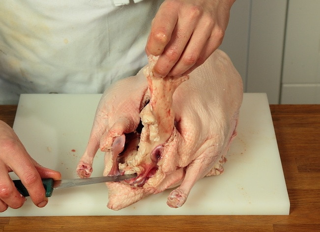 1. Этап. Запеченный гусь, фаршированный яблоками: Из гуся вырезать жир.