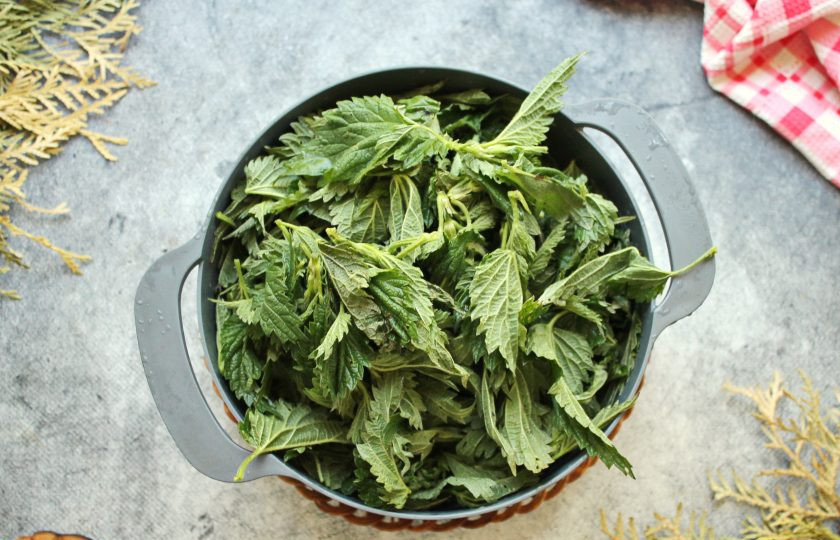 1. Этап. Крапива на зиму для супа: У крапивы возьмите только молодые, не порченные и не поеденные насекомыми листочки. Выложите их в миску и промойте холодной водой. Откиньте на сито и дайте воде полностью стечь.