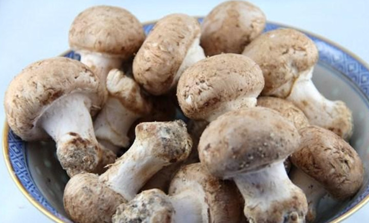 1. Этап. Салат со свежими шампиньонами: Подготовьте грибы. Ножки срежьте на 2/3, промойте грибочки, снимите со шляпок слой кожицы.