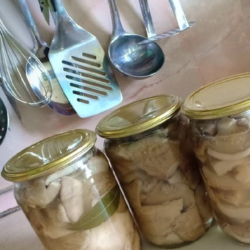 1. Этап. Грузди маринованные: Приятного аппетита!