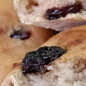 Батон и булочки с изюмом