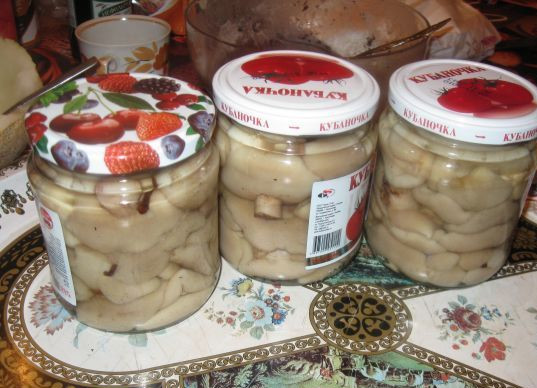 1. Этап. Маринованные маслята быстрого приготовления: Грибочки распределите по стерилизованным баночкам, сверху залив маринадом. Закройте крышками и переверните до полного остывания. Приятного аппетита!