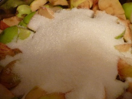 1. Этап. Мармелад из яблочного пюре: 1. Яблоки моем, вместе с кожурой нарезаем кусочками (но без косточек!), выкладываем в кастрюлю. Засыпаем сахаром, оставим на ночь.