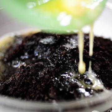 1. Этап. Кремовый торт с малиной: Полейте растопленным сливочным маслом.