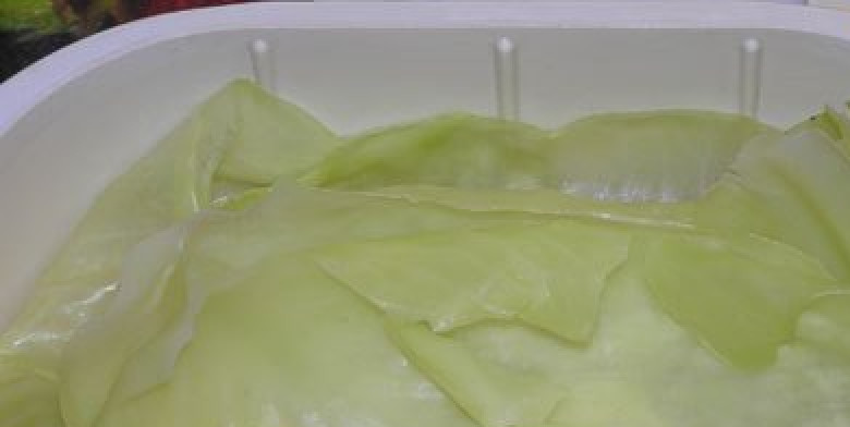 1. Этап. Шницель капустный с сыром: Для начала нужно сварить капусту, отделив листья от кочана. Варить в кипящей подсоленной воде, примерно 10 минут. Листья должны быть мягкими, но не рваться.