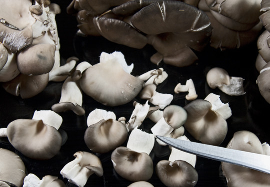 1. Этап. Маринованные вешенки с лимонной кислотой: 1. Вешенки моем, аккуратно очистим от мусора и мелко нарезаем.