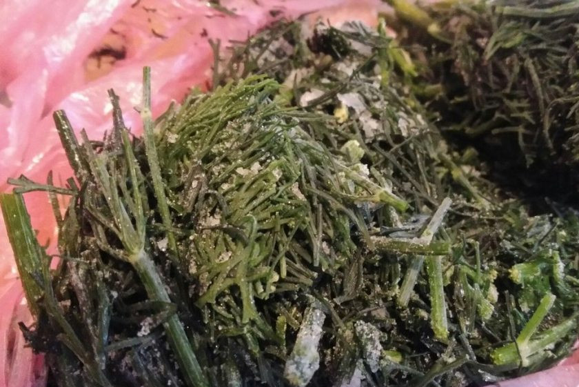 1. Этап. Суп с куриными желудками и пшеном: 7. Поскольку зелень у меня тоже замороженная, я использовала ее. Укроп, петрушка, зеленый лук — все идеально подходит.