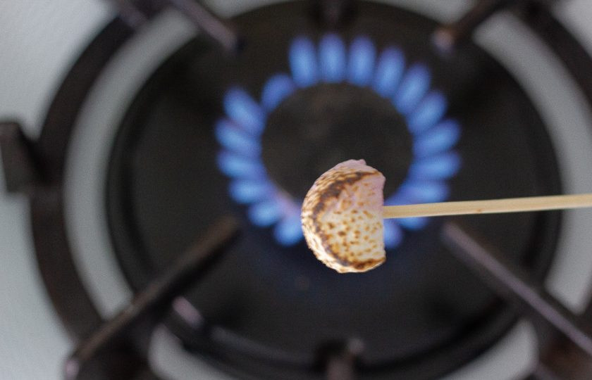 1. Этап. Творожный десерт с маршмеллоу: Маршмеллоу насадите на кончик шпажки и немного обожгите на огне. Также для украшения помойте ягоды.