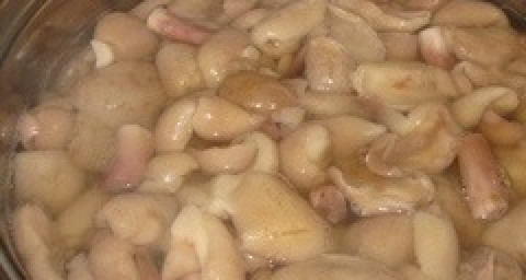 1. Этап. Маслята, жареные с луком: Снова промываем, заливаем холодной водой и варим 30-40 минут, соль по вкусу.