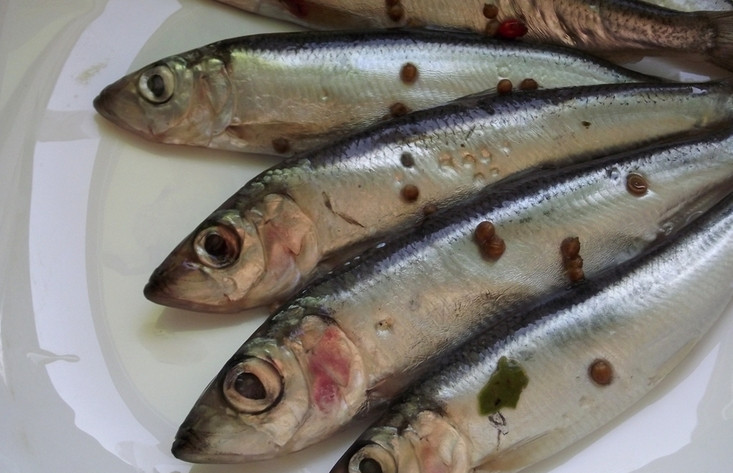 1. Этап. Салака пряного посола: Готово! Приятного аппетита!