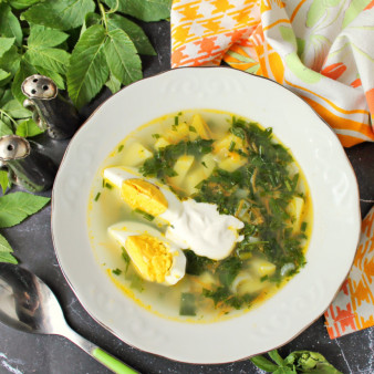 Суп из сныти