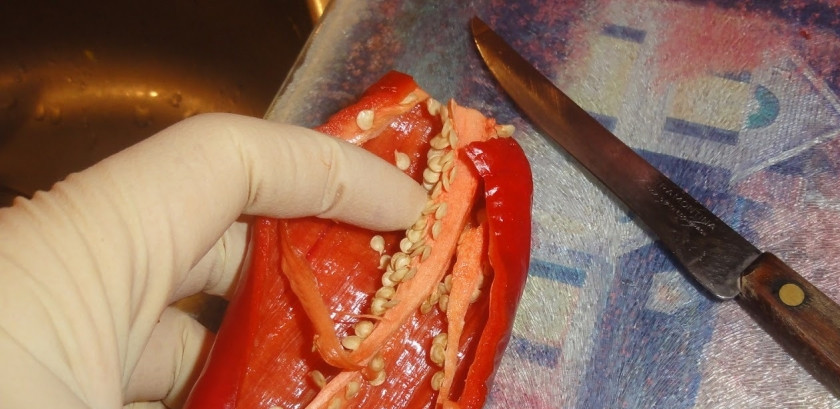 1. Этап. Грузинская аджика с орехами на зиму: 1. Оденем перчатки, очистим красный перец от семян. Моем, режем на кусочки. Чеснок очистим.