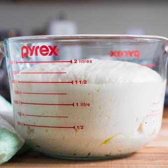 Easy No-Knead Pizza Dough