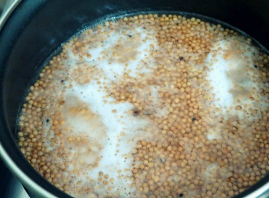 1. Этап. Горчица французская: Через два дня вытаскиваем зерна из холодильника. Ставим на плиту кастрюлю с водой. Закладываем туда семена так, чтобы вода накрывала их полностью. Можно бросить душистого или черного перца горошком по желанию. Доводим до кипения и через минуту снимаем с огня.