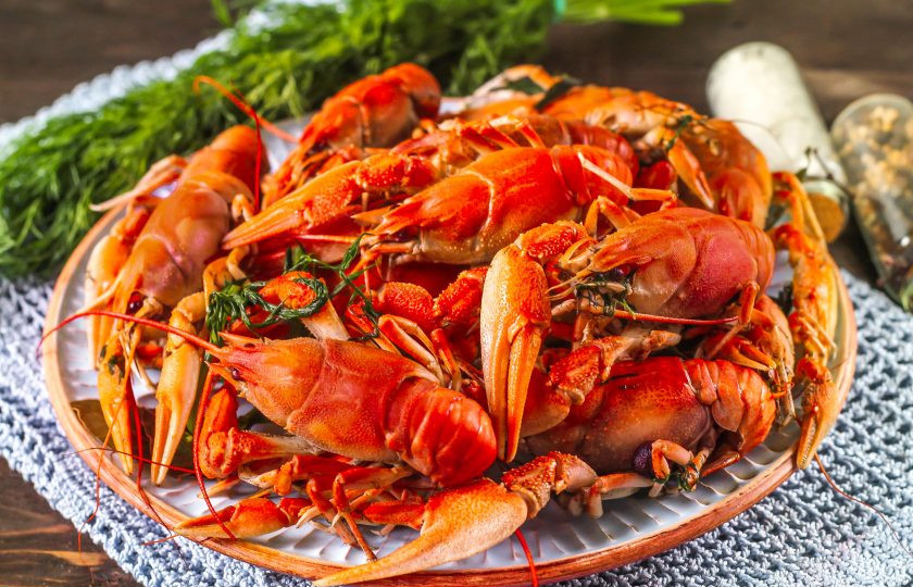 1. Этап. Вареные раки с укропом: Подайте вареных раков с укропом к столу теплыми. Приятного аппетита!