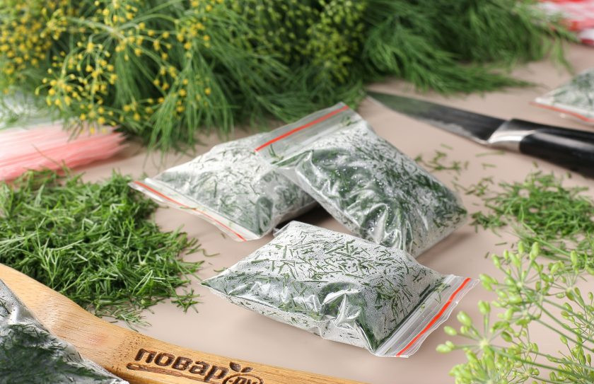 1. Этап. Заморозка укропа на зиму: В таком виде не только сохраняются полезные вещества, но и остаётся характерный вкус и цвет свежего душистого укропа.