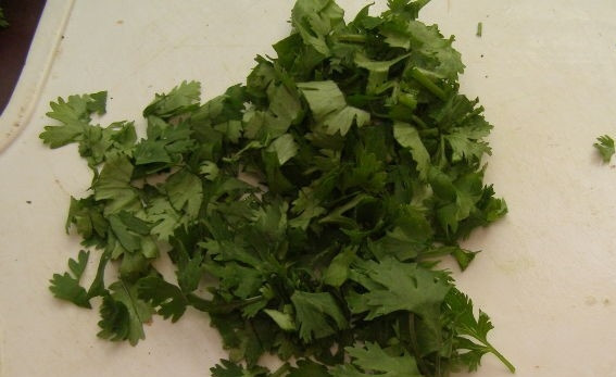 1. Этап. Салат с цукини: 4. Подготовьте для салата кинзу. Для этого возьмите пучок зелени. Пересмотрите ее, чтобы не попадались желтые листики. Тщательно промойте и оставьте, чтобы стекла лишняя влага. Затем нарежьте.