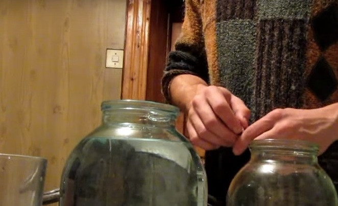 1. Этап. Самогон из винограда в домашних условиях: 9. В чачу спустя это время добавляется еще сахар и вода, все переливается в большую бутыль для дальнейшего брожения. Первую порцию (ее называют 