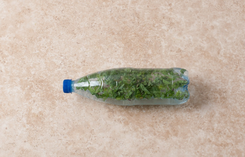 1. Этап. Лимонад тархун: Из бутылки выливаем 300 мл воды и кладем в нее мелко нарезанный тархун.