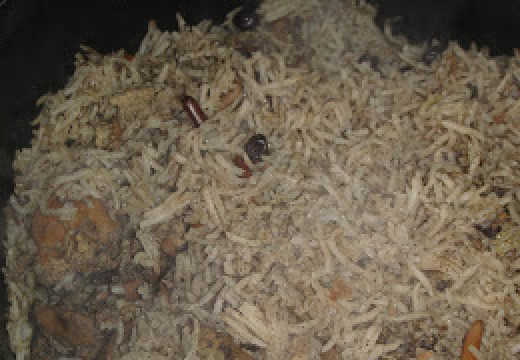 1. Этап. Плов с куриной печенью: Добавить изюм, орехи, специи и налить воды, чтоб покрыть рис на толщину пальца. Довести до кипения и сразу сделать маленький огонь.