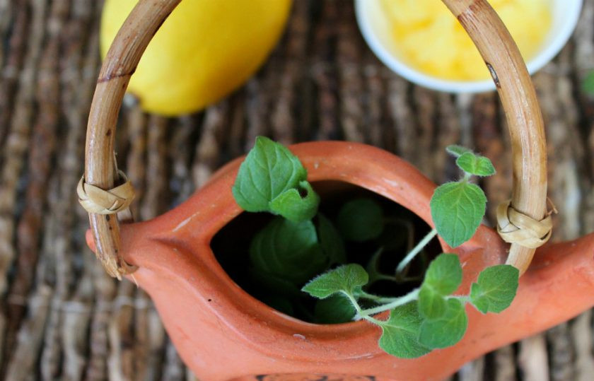 1. Этап. Чай с имбирем и корицей для похудения: Добавляем мяту.