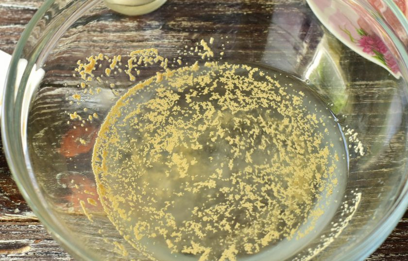 1. Этап. Беляши без яиц: В миску влейте теплую воду, добавьте соль и сахар.